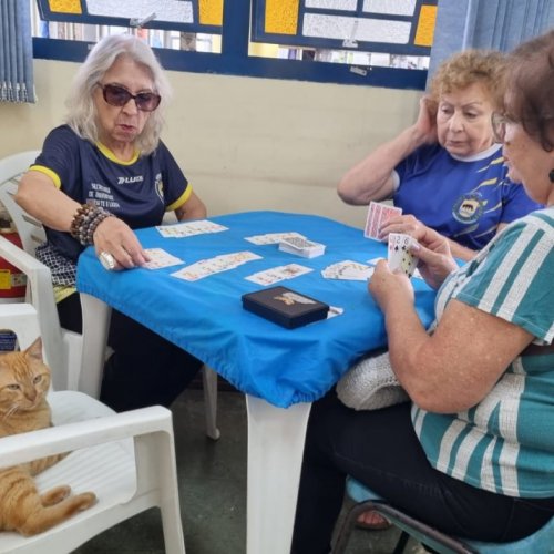 Viva Melhor premia duplas de Domin e Buraco